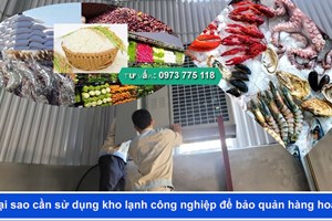 Tại sao cần sử dụng kho lạnh công nghiệp để bảo quản hàng hoá