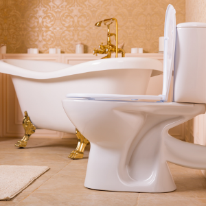 Thiết bị vệ sinh